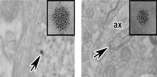 nanocastice