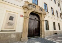 Mezi antidepresiva se nově zařadí i psilocybin, rozhodla Sněmovna psilocybin