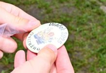 O jediný letní tábor pro děti s diabetem v ČR je velký zájem letni_tabor