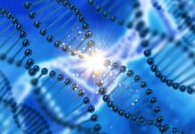 Vědci v USA potvrdili posun v léčbě vzácných nemocí pomocí CRISPR vzacnych_nemoci