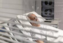 Nejhorší otravy z hub připadají na muchomůrku zelenou a pavučinec muchomurku