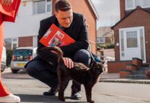 The Spectator: Nebude lehké uzdravit britské státní nemocnice nemocnic