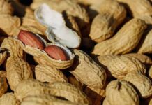 Podávání arašídů malým dětem podstatně snížilo alergie na ně arasidu