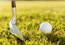 Lidé žijící u golfových hřišť mají častěji Parkinsona, uvádí studie golfovych_hrist