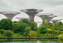 V Singapuru jsou i staří lidé zdraví, dodržují totiž pravidla lide