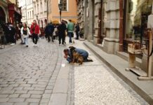 Nejvíc žloutenky je v Praze. Obavy epidemiologů se naplnily zloutenky