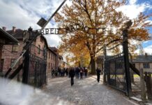 Němečtí zubaři se omluvili za hrůzy svých nacistických kolegů zubari