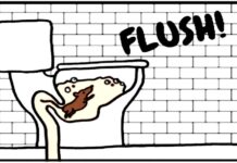 Co dělat, když z toalety vyskočí krysa. Ideální je ji přerazit víkem