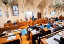 Kandidáty na dětského ombudsmana za Senát jsou Beneš a Petrová na_detskeho_ombudsmana