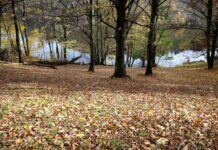 Místo prášků si vyjděte do přírody. V USA vám na to dají i recept prirody