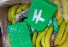 Nelegální trh s kokainem roste nejrychleji v historii s_kokainem