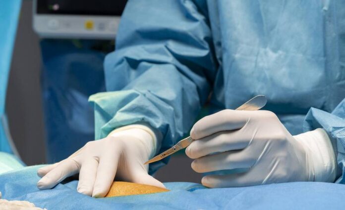 preziti_slinivky preziti_slinivky