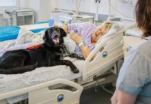 I jen psí pohled léčí, vědí v ostravské fakultní nemocnici fakultni