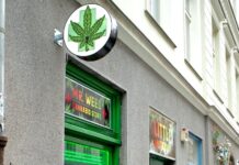 Kratomu se loni do ČR dovezlo 490 tun. To je až 250 milionů dávek kratomu