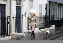 Komentář: Učiní chytří roboti z velkých měst zase místo pro žití? roboti