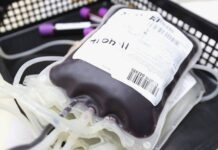 Kvůli západonilské horečce platí omezení darování krve po návratu z některých zemí zapadonilske