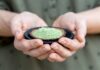 Kratom se rovná heroinu, namístě je zákaz, říká dětská psychiatrička kratom