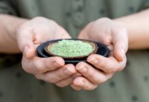 Kratom se rovná heroinu, namístě je zákaz, říká dětská psychiatrička kratom