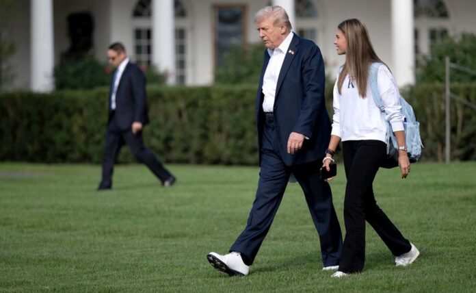 trump trump